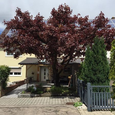 Apartmentvermietung Ingrid Bolkart - Landleben 6 Illertissen Eksteriør billede